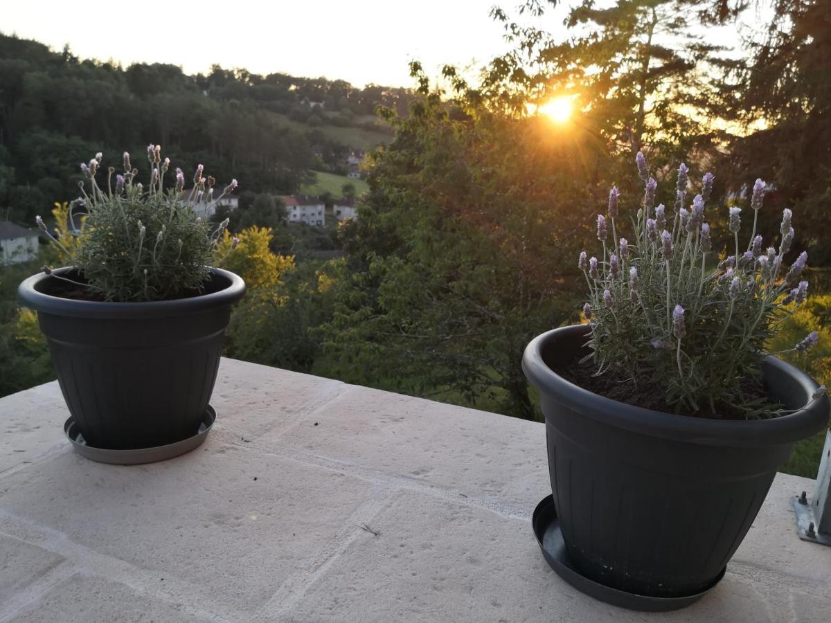 Chambre Meublee Avec Vue Panoramique A Perigueux Sanilhac  ภายนอก รูปภาพ